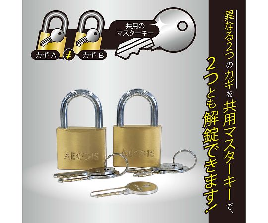 マスターキー付き南京錠 1セット（2個入） 前面から見た南京錠が2個並んでいる様子