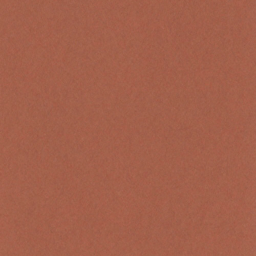 ﾆｭｰｶﾗｰR 四つ切 ちゃいろ 1ﾊﾟｯｸ(100枚)画像