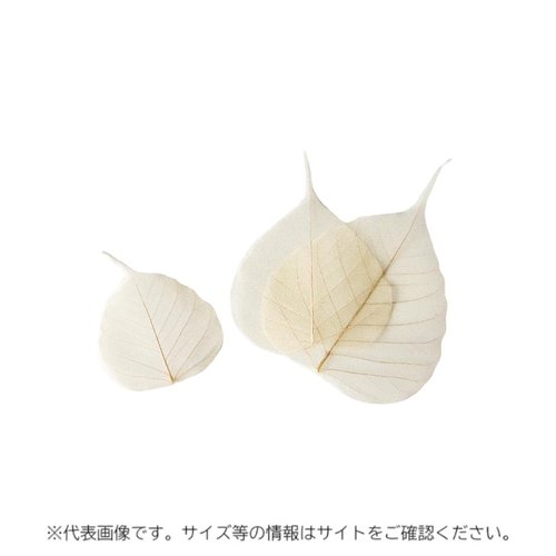 新涼木の葉 100枚入 S 萬洋画像
