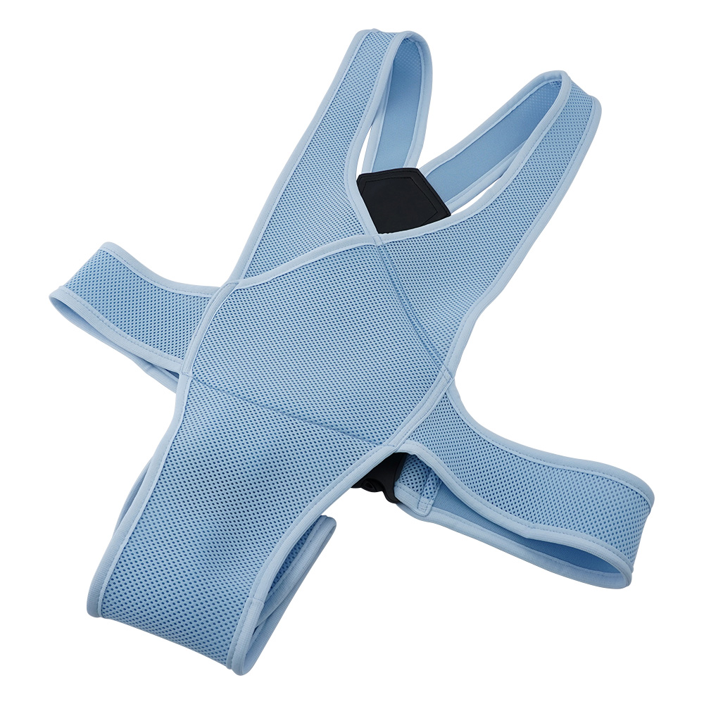 車椅子ベルト　Lサイズ　ブルー画像