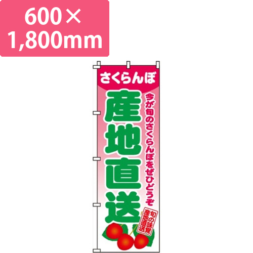 さくらんぼ産地直送画像