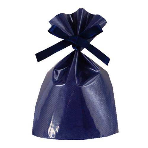 ソフトバッグクリア 2穴リボン巾着 S1 紺画像