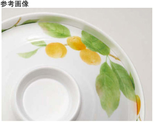 蓋 詩緒里 150×39mm 100個入 透明なパッケージに並ぶ蓋の全体像