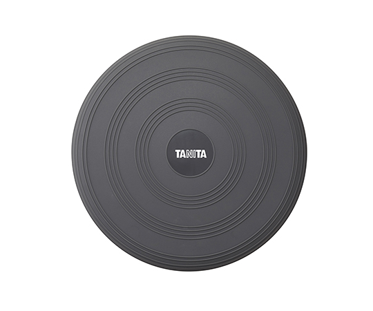 バランスクッション画像