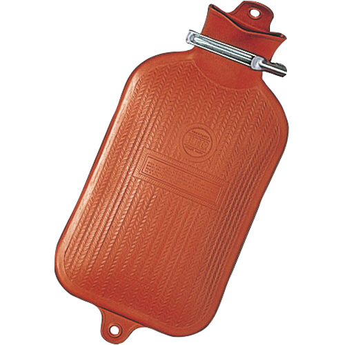 ｼﾝｶﾞｰ水枕 1個画像