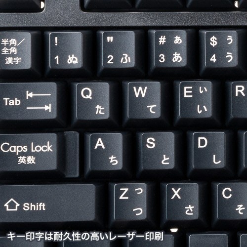 PS/2キーボード　ブラック　1台 キーが並んだ状態で、黒いボディのデザインが際立っている様子