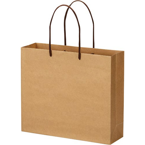 クラフトバッグ　丸紐　Ｍ　１０枚画像