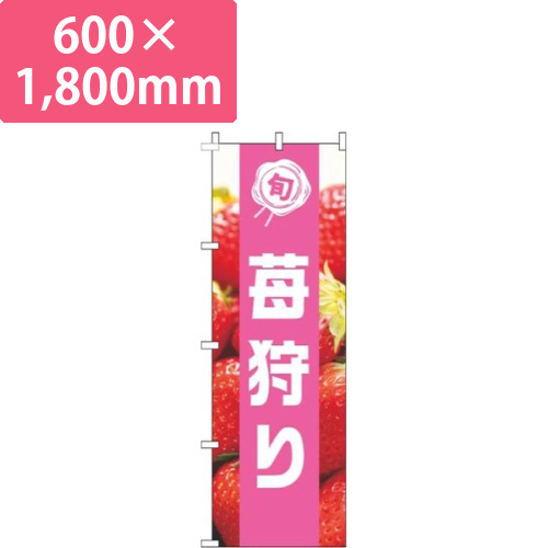苺狩り写真ピンク帯画像