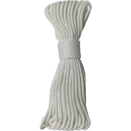 ﾛｰﾌﾟ ﾎﾟﾘｴｽﾃﾙﾛｰﾌﾟ3ｯ打 3mm×10m 1本画像