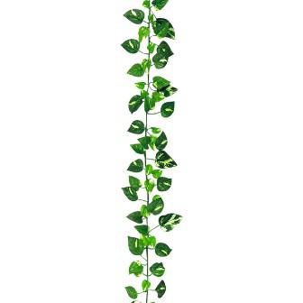 ニューポトスガーランド画像