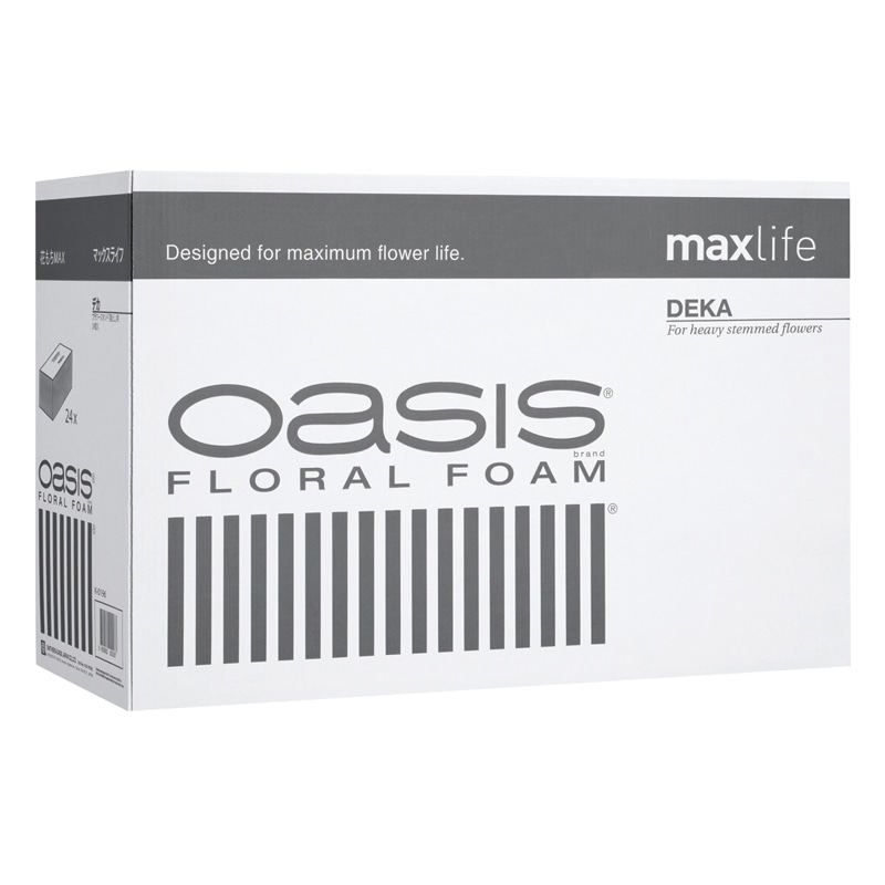 オアシス　デカＭＬ画像