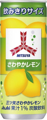 さわやかレモン缶　２５０ｍｌ　２０本画像