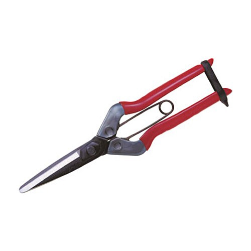 ﾁｶﾏｻ 青果鋏 1個画像