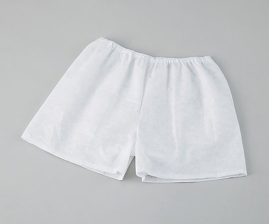 ディスポインナーウエア　トランクス　LL　2枚入