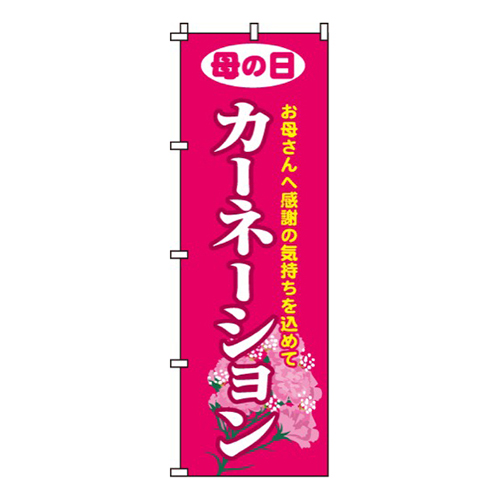 カーネーション画像