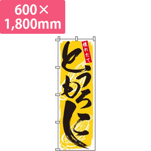 とうもろこし黄色・採れたて画像