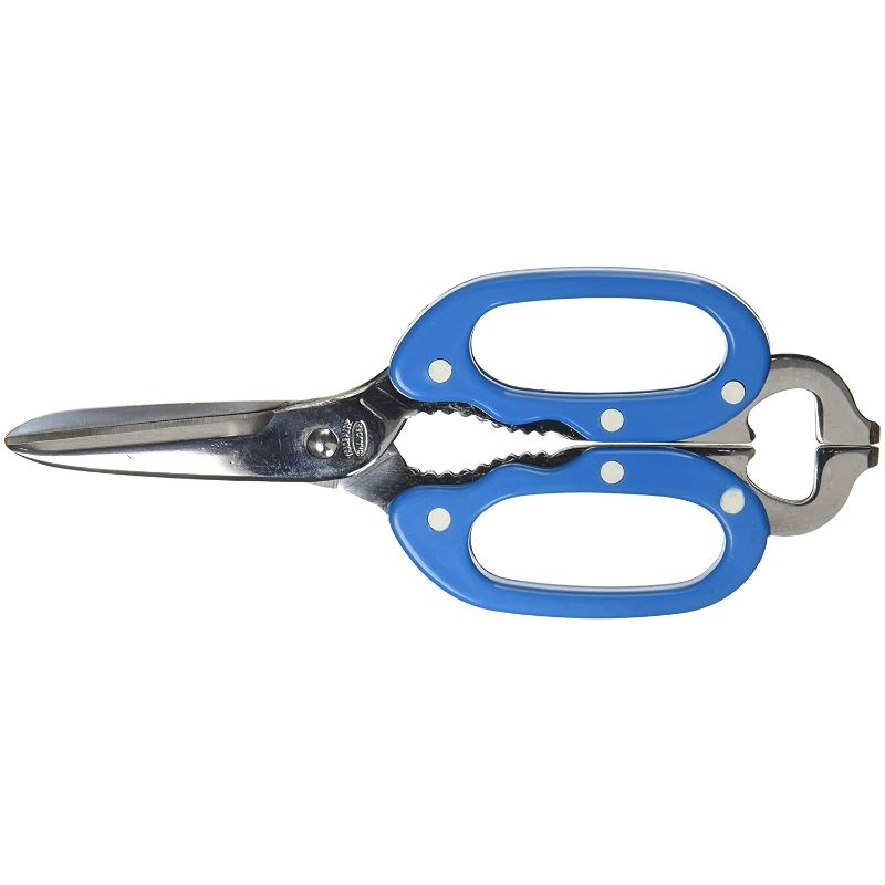 C-01 キッチンバサミ コックさん 青 インテックカネキ画像