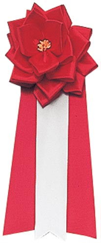 記章リボン　小　赤　２０個入画像
