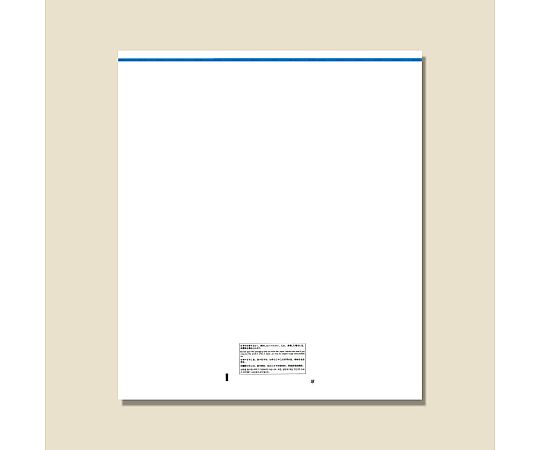 免税対応袋 免税店用CPP透明袋 L 50枚画像