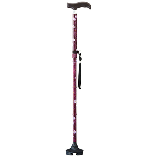 握りやすい4ﾎﾟｲﾝﾄｽﾃｯｷ 婦人用 1本画像