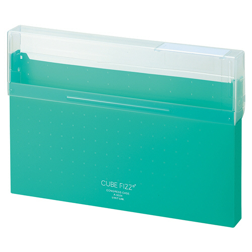 CUBE FIZZ ｺﾝｸﾞﾚｽｹｰｽ A4ﾖｺ 300枚収容 ｸﾞﾘｰﾝ 1個画像