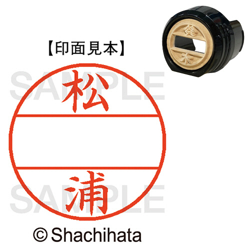 ﾃﾞｰﾀｰﾈｰﾑEX12号 ﾏｽﾀｰ部(印面) 既製 松浦 1個画像