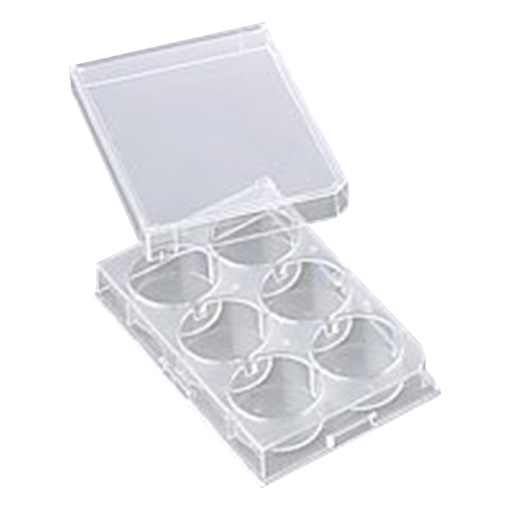 6穴プレート　平底　カバー付　滅菌済　60枚入画像