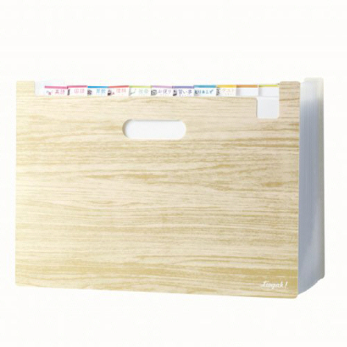 ﾘﾋﾞｶﾞｸ ぽい分けﾎﾞｯｸｽﾌｧｲﾙ A4ｸﾘｱﾌｧｲﾙ対応 13ﾎﾟｹｯﾄ ｱｲﾎﾞﾘｰ 1ｾｯﾄ(3個)画像