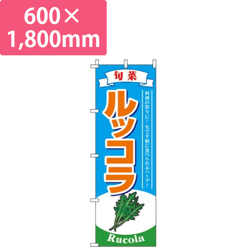 ルッコラ 水色画像
