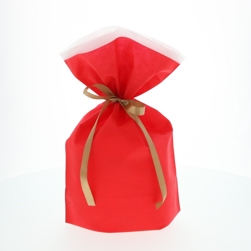 ＦＫ３０７３　不織布巾着袋　レッドＭ　１０枚入