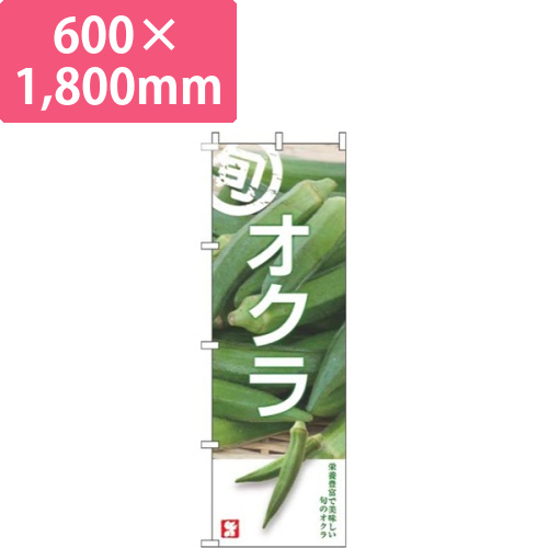 オクラ旬写真画像