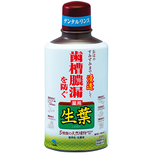 生葉液 330ml 1本画像