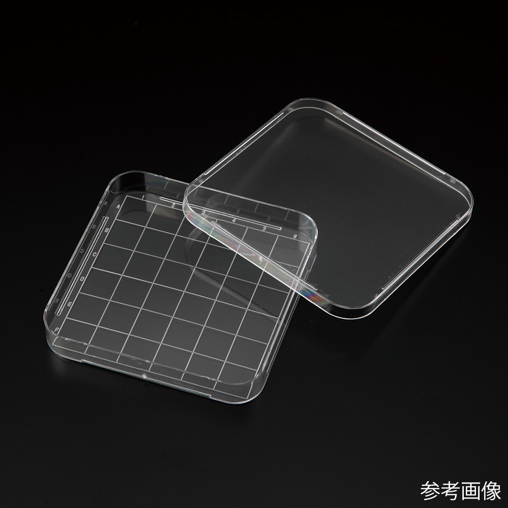 ビオラモスクエアペトリディッシュ 1箱(10枚×24包入)画像