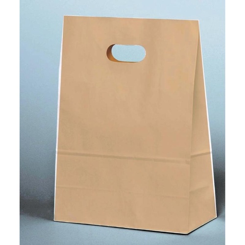 パックタケヤマ 紙手提袋 イーグリップ L 茶無地画像