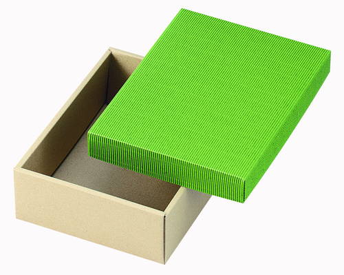 片段カラーギフトＢＯＸ　大（緑）画像