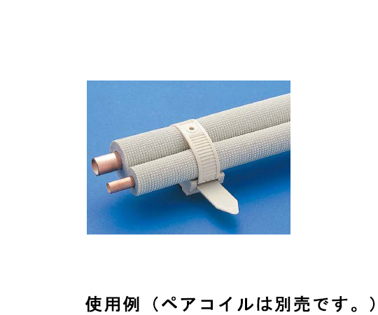 ビッグタイ　20本入