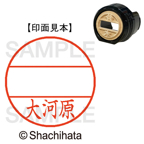 ﾃﾞｰﾀｰﾈｰﾑEX12号 ﾏｽﾀｰ部(印面) 既製 大河原 1個画像