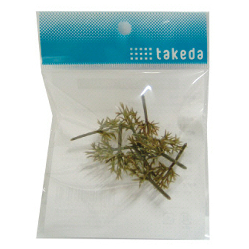 ｼﾞｵﾗﾏ樹木(枝) ﾌﾟﾗｽﾁｯｸ 3.2cm 1ｾｯﾄ(100個:10個×10ﾊﾟｯｸ)画像
