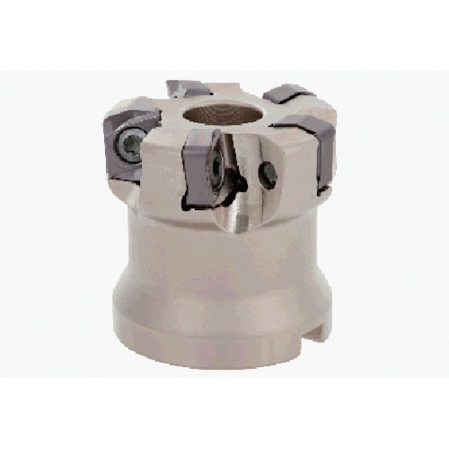 TAC正面ﾌﾗｲｽ 1個画像