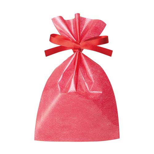 ソフトバッグクリア 2穴リボン巾着 S2 赤画像