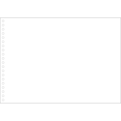 白紙 (A4横･20穴) 単票 1箱(2000枚)画像