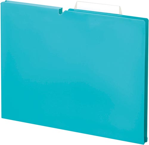 個別フォルダー＜ＮＥＯＳ＞Ａ４　１５ｍｍ水　１０冊画像