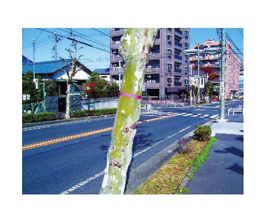 ビニールテープホワイト1巻入<BT-30W> パッケージが水平に置かれ、ラベルの詳細が見える状態