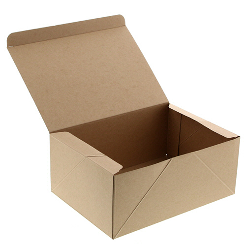 箱 ﾈｵｸﾗﾌﾄ ｹｰｷBOX L 1ｾｯﾄ(100枚:20枚×5ﾊﾟｯｸ)画像