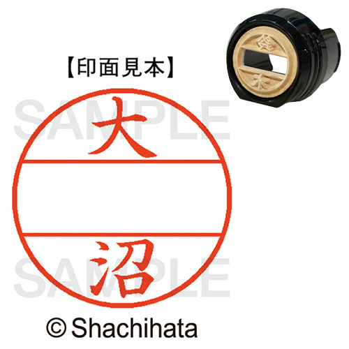 ﾃﾞｰﾀｰﾈｰﾑEX12号 ﾏｽﾀｰ部(印面) 既製 大沼 1個画像