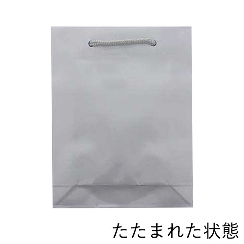 ツヤありPP加工！シルバーで持ち手紐付きの高級ギフトバッグ