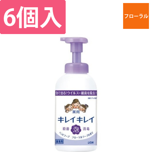 キレイキレイ泡ハンドSフローラル本体550ml×6画像