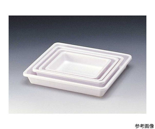 大型バット　全紙