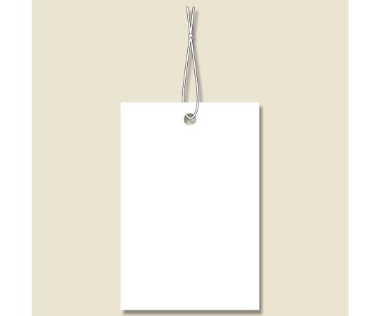 HEIKO 提札 No.606 綿糸付き 100枚画像