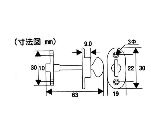 真鍮Nメッキネジ締　30mm 表面が光沢のある金属的な仕上げで、切り込みのある頭部が特徴的なネジが並んでいる。